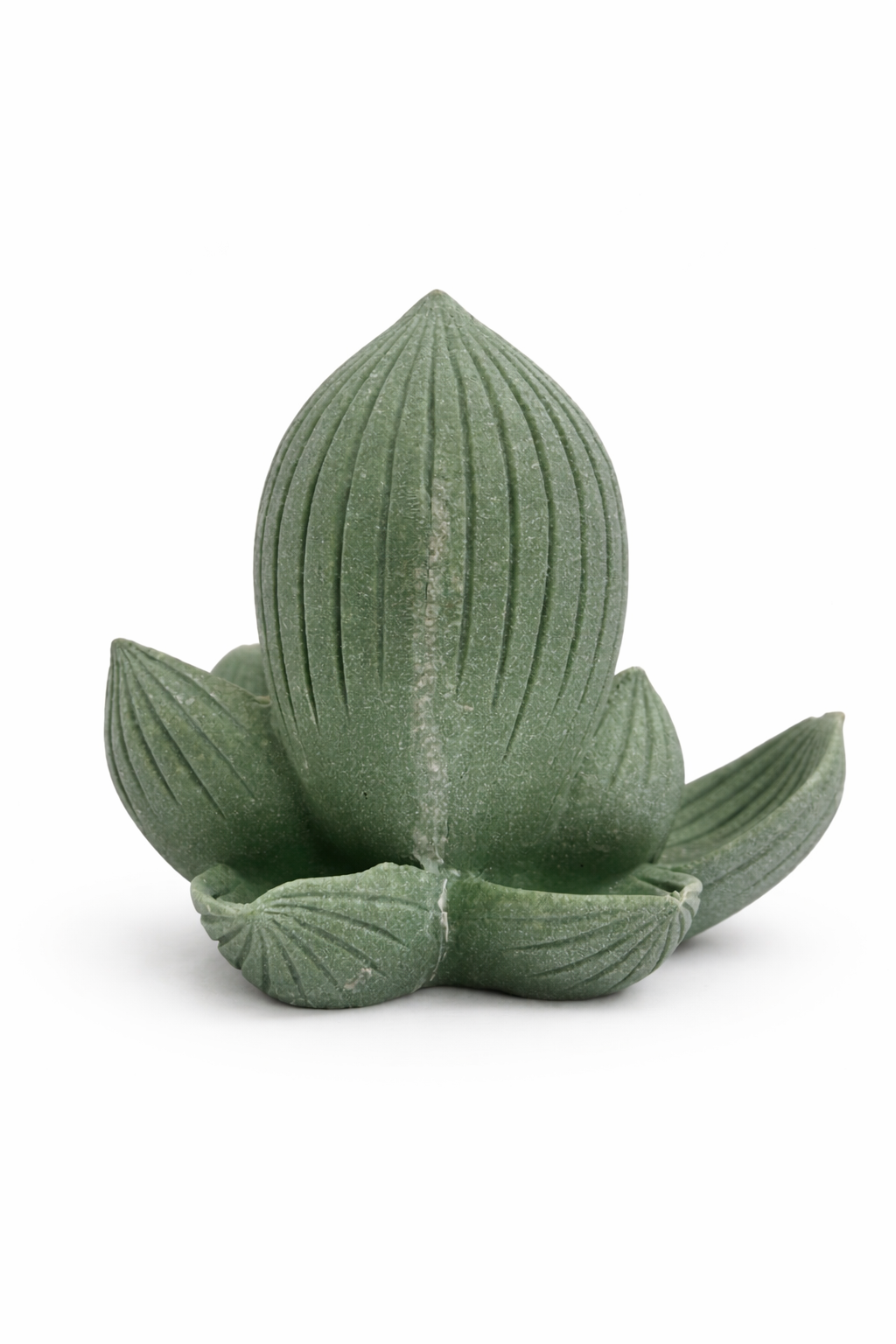 Vendly's Aesthetic Child Buddha